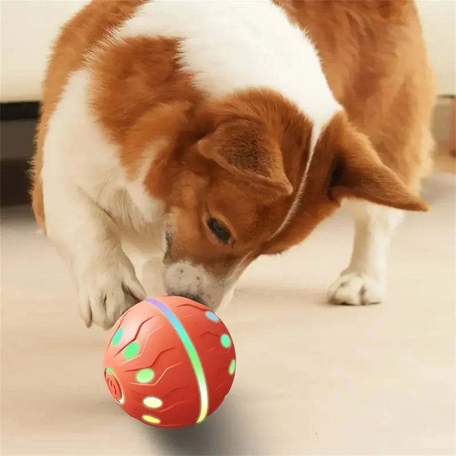Electric Interactive Ball