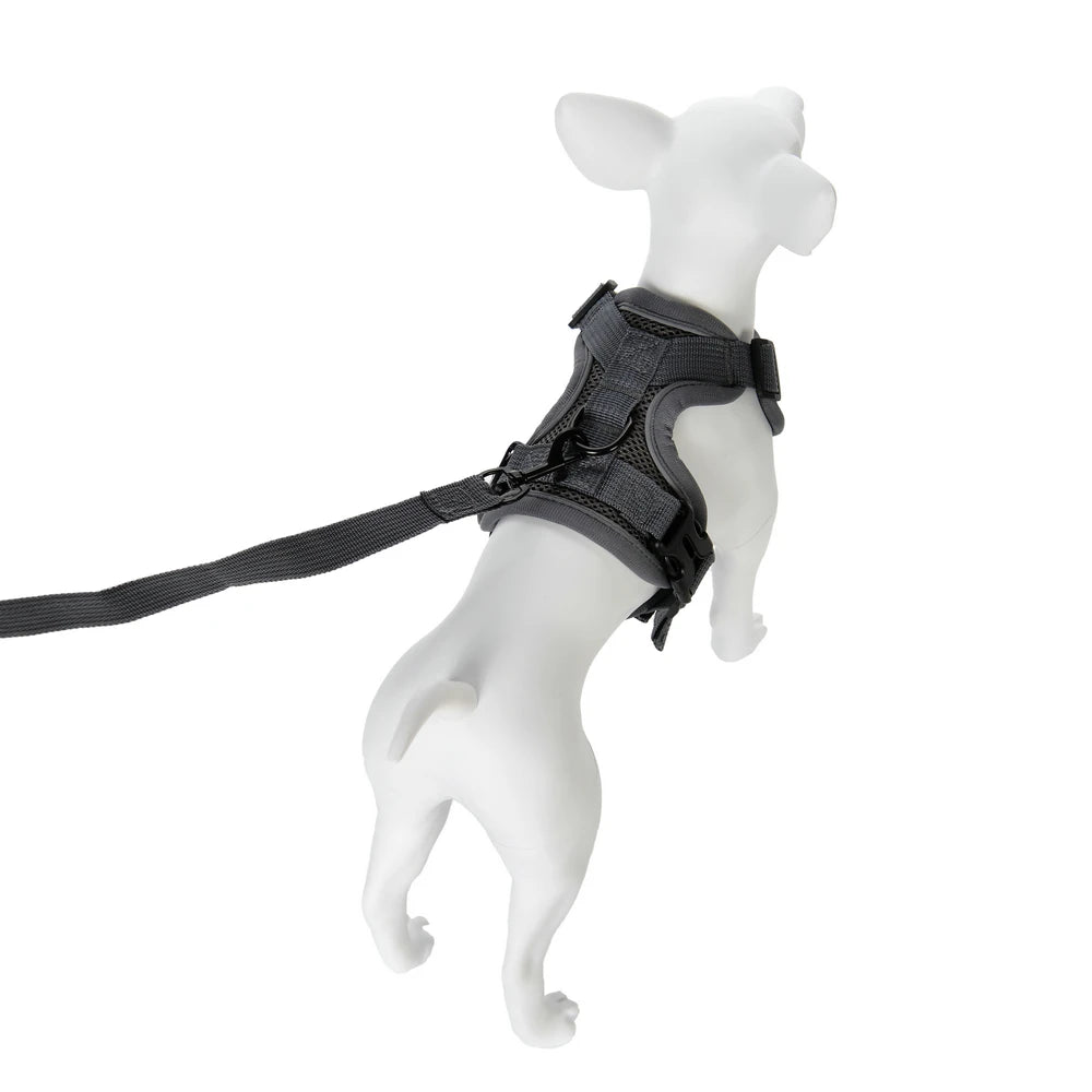 Dog Harness Leash Set For Small Medium Dogs