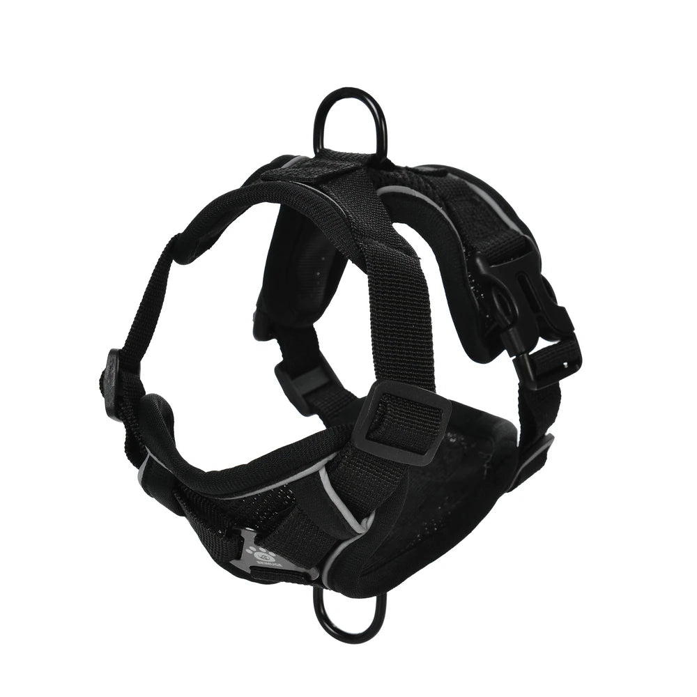 Dog Harness Leash Set For Small Medium Dogs