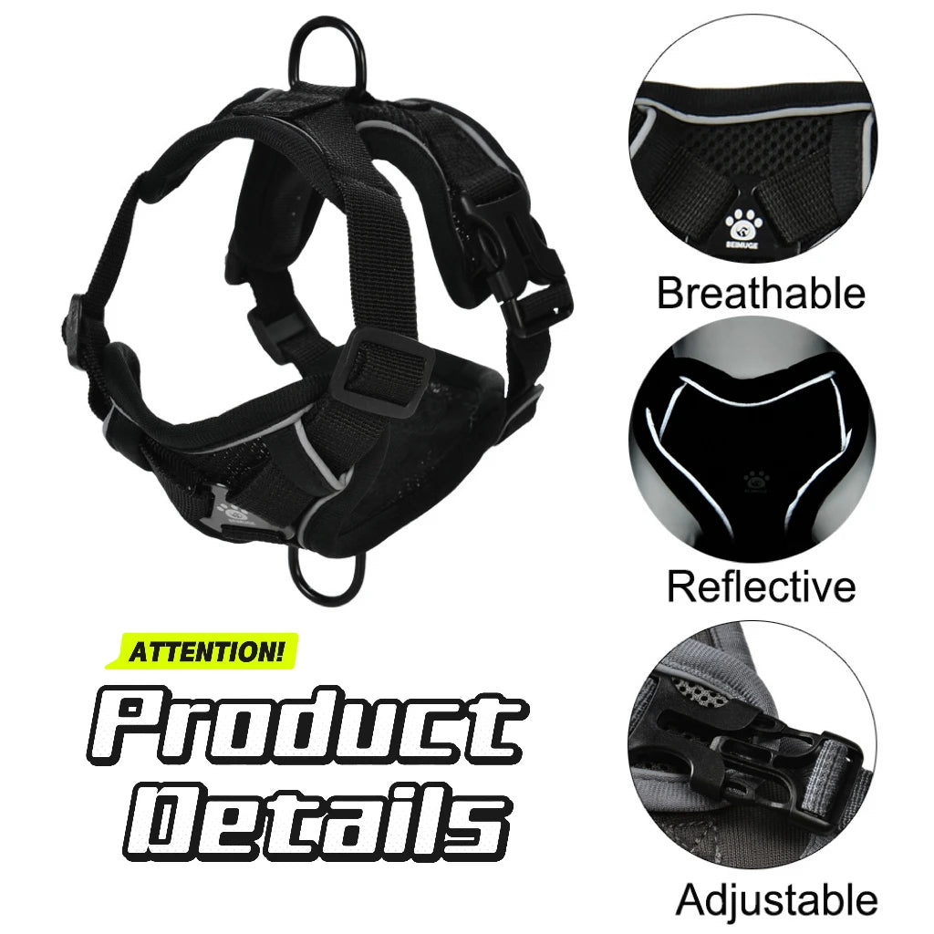 Dog Harness Leash Set For Small Medium Dogs