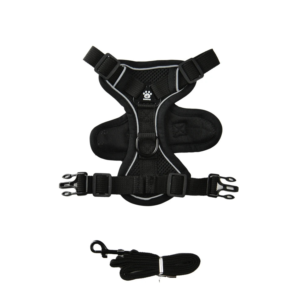 Dog Harness Leash Set For Small Medium Dogs