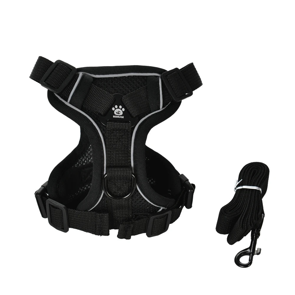 Dog Harness Leash Set For Small Medium Dogs